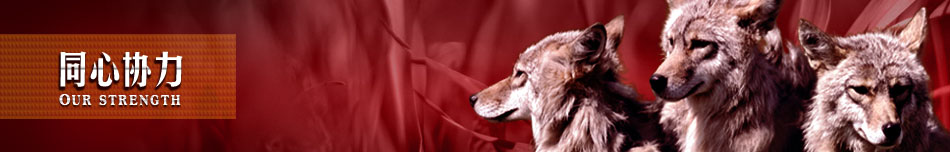 同心協(xié)力  【鋁單板/金屬天花服務(wù)運營中心】